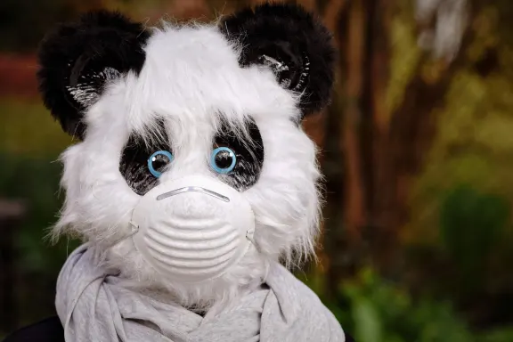 Casino of Dreams Ënnerstëtzung